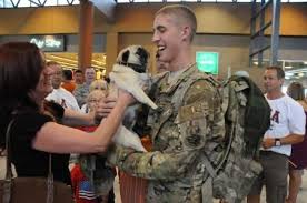 Pin On National Guard