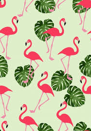 57+ live gaming wallpaper on wallpapersafari Flamingo Wallpaper Pattern Seamless Free Stock Photo Public Domain Pictures