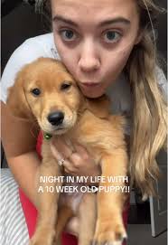 Night in My Life with a 10-Week-Old Puppy!