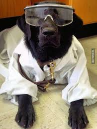 Medical Laboratory And Biomedical Science Lab Coat Dog Halloween Costumes Lab Puppies Dog Halloween