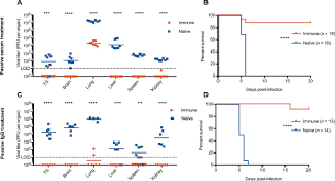 A primary infection with hsv is often. Maternal Immunization Confers Protection Against Neonatal Herpes Simplex Mortality And Behavioral Morbidity Science Translational Medicine