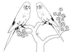 Ausmalbilder Tiere Malvorlagen Bastelvorlagen Tiere Zum Ausmalen Coloring Pages Drawings Humanoid Sketch