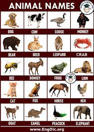 500 Animals Name List In English A To Z Pictures And Pdf Engdic