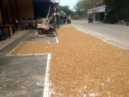 Untuk pembuatan aneka tepung yang telah digunakan banyak pengusaha di indonesia mesin, agrowindo mesin roll mills untuk pabrik tepung zflotation daftar harga mesin cylindrical ball mill mines and quarries act yemen mesin ayak code peralatan. Kerupuk Rambak Khas Batang