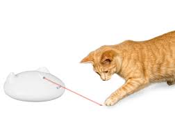 The laser's movement will attract your cat's attention, and its predatory instincts will break out as your cat stalks, chases and pounces on the laser. Premier Pet Zip Automatic Laser Cat Toy Interactive Toy With Laser Moves In Random Directions Providing Long Lasting Hands Free Play Chase And Exercise Battery Operated Walmart Com Walmart Com