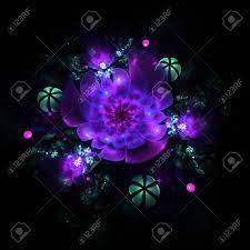 This little work of art has a beautiful, unique floral, leafy pattern in purple, green, white, orange and brown. Abstract Colorful Pink Purple Green And Blue Flowers On Black Stock Photo Picture And Royalty Free Image Image 69713781