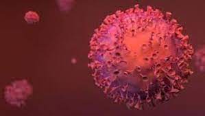 Örneğin, en kötü etkilenen bölgelerden bazılarında evden çalışanların oranının çok düşük olduğuna dikkat çekildi. Delta Varyanti Nedir Belirtileri Nelerdir Delta Virus Nasil Bulasir Uzmanlardan Delta Plus Aciklamasi Saglik Haberleri