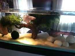Mr Aqua Bookshelf 3 Gallon Long Aqua Freshwater Aquarium Glass Aquarium