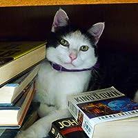 A Captive Heart by Sally Carr