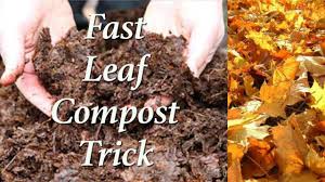 Check spelling or type a new query. Super Fast Leaf Composting Trick Youtube