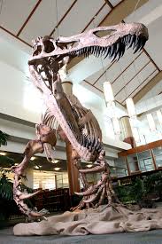 Image result for Suchomimus