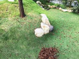 夏に樹木が葉を落とす 福岡北九州 遠賀郡の外構 造園 エクステリア工事のアウクバガーデン