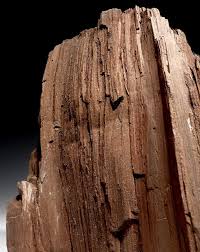 Giant Triassic Permineralized Log Of Fossilized Wood With Sparkling Drusy Crystals From German Coal Deposit Pl171 Fossilized Wood Organic Wood Petrified Wood