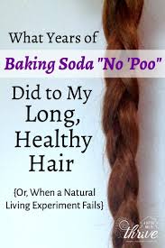 Some absorption can be helpful, but too much can weaken the hair. like baking soda, however, apple cider vinegar may irritate some skin types. What Years Of Baking Soda No Poo Did To My Long Healthy Hair