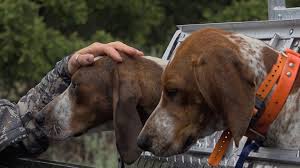 Best place to watch full episodes, all latest tv series and shows on full hd. Watch Meltdown Trial By Fire Full Episode Mountain Men History