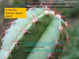 Cactus is a common desert plant, though most regions in the sahara go barren. Title And Lo How Do Plants And Animals Adapt To Desert Environments Ppt Video Online Download