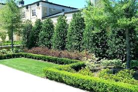 Landscaping experts weigh in with their advice. Pin On Backyard Ideas