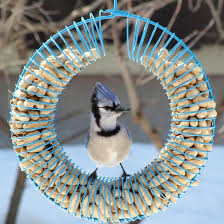 Whole Peanut Wreath Feeder Bird Feeders Wild Bird Feeders Bird