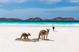 Here's a list of our 21 personal favourites. Top 10 Pristine Beaches In Western Australia Travel With No Anchor