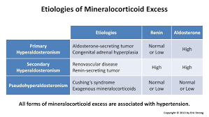 Image result for Hyperaldosteronism