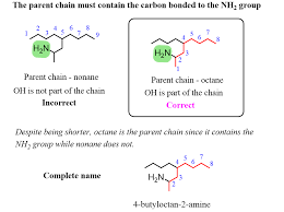 Naming Amine Choosing The Parent Chain In 2020 Nomenclature Chemistry Chemistry Parenting