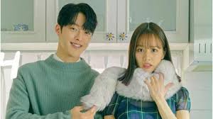 My roommate is a gumiho tells the story of a male gumiho, who has lived for hundreds of years to become a human being, having his fox beads taken away by a female college student in an accident and living in a house together to solve this problem. Wgjaitjwbt5gzm
