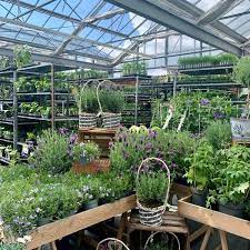 Der dehner in markkleeberg hat ein gutes angebot an blumen für beete, gärten und friedhöfe. Dehner Garten Center 59 Besucher