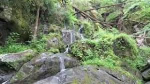 Great smoky mountains national park is the perfect destination for a weekend getaway that is completely wheelchair accessible. Place Of A Thousand Drips Smokies Adventure