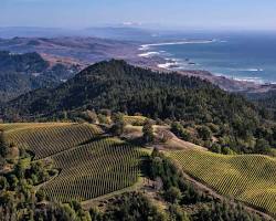 Image of Sonoma Valley Wineries, California