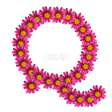 Fast shipping, quality graphics and great prices! Alphabet Q Single Letters Typography Pixoto