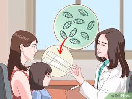 Jika kualitas pemimpin tidak lebih. 4 Cara Untuk Membasmi Telur Cacing Kerawit Wikihow