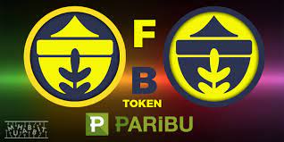 Hisse senedi token'ı olarak anılan bu yöntem ile oluşturulan ico'lar, halka arz (ipo) sistemi ile benzerlik gösterir. Pr73h0k3mxcl M
