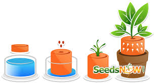 The click & grow plant pods make it easy for you to build the garden of your dreams. How To Use Expanding Seed Starting Soil Pellets And Pods Step By Step Seedsnow Com