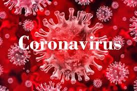 Image result for preventive measures to avoid coronavirus