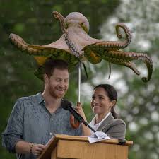 Based off of the random image, guess the object. This Guy Can T Stop Photoshopping Animals Into The Most Random Things
