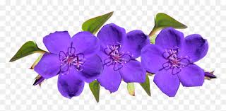 Download this flower crown png transparent png image as an icon or download the original size directly. Violet Flower Png Transparent Png Vhv