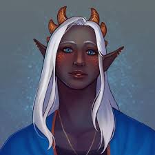 Houston D&D Adventurers League