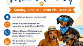 Summer Mini Meet Up