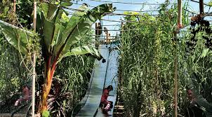 Événement emblématique du domaine dédié à la création, l'imagination, la poésie et la nature. L Aventure Du Festival Des Jardins De Chaumont Sur Loire Canopees