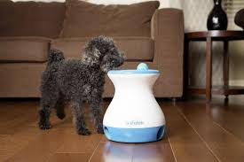 *free* shipping on orders $49+ and the best customer service! Ifetch Frenzy Ball Launcher White Blue 1 Pc S Conrad Com