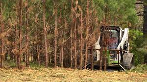 How low land inventory benefits sellers. Fast Tree And Land Clearing With Disc Mulcher Youtube
