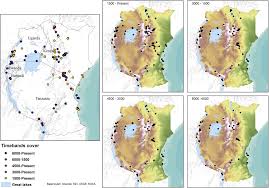 Image result for Cassipourea ruwensorensis