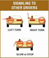 We did not find results for: Turn Signals 101 Driving Basics Driving Tips For Beginners Learning To Drive
