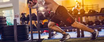 Image result for Exercise History