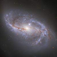 Ngc 2608 é uma galáxia espiral barrada (sbb) localizada na direcção da constelação de cancer. Ngc 2608 Galaxia Galaxia Espiral Barrada 2608 Ngc 1672 Wikipedia La