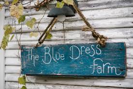 We went here after my sister's wedding for pictures between the wedding and reception. Benton Harbor Michigan Rainy Fall Wedding At Blue Dress Barn Emily Rodney Sydney Marie Photography