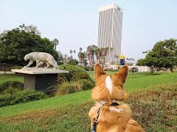 Hancock park area is primarily made up of large old time money homes of la, before the westside eclipsed it eventually. Dog Owners Hungry For Space Near Tar Pits Park Labrea News Beverly Presspark Labrea News Beverly Press