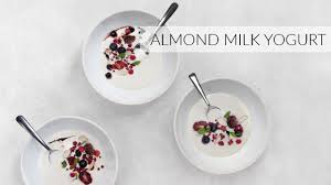 Almond Milk Yogurt Homemade Yogurt Recipe Nutrition Refined