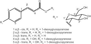 Image result for Carpolobia goetzei