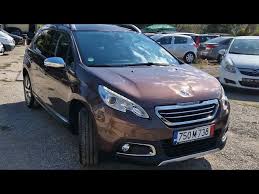 Image result for Brun Guaranja 2014 Peugeot